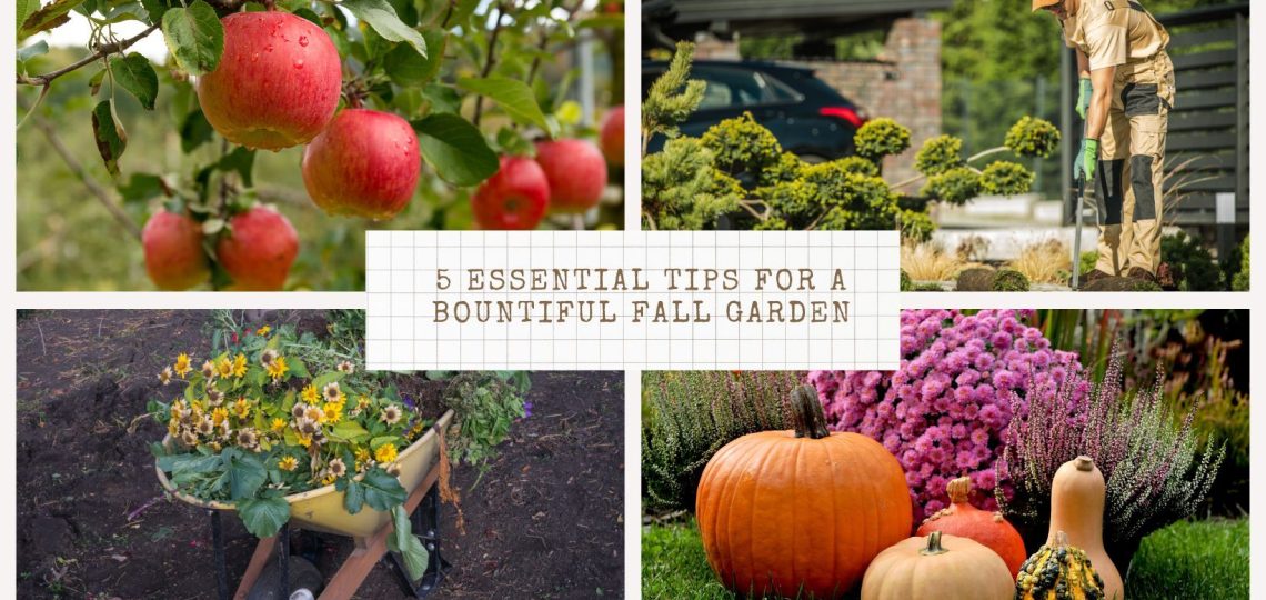 5-Essential-Tips-for-a-Bountiful-Fall-Garden.jpg