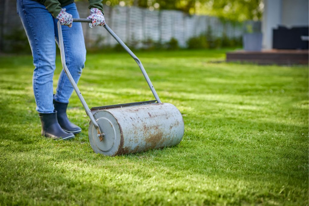 person dethatching lawn