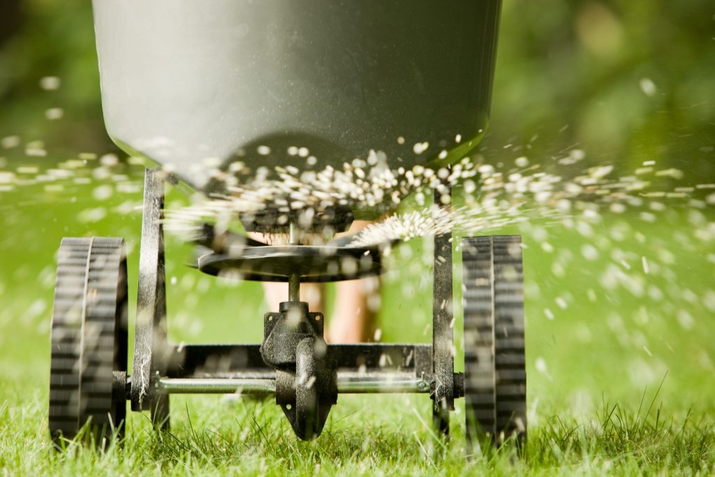 fertilizing lawn