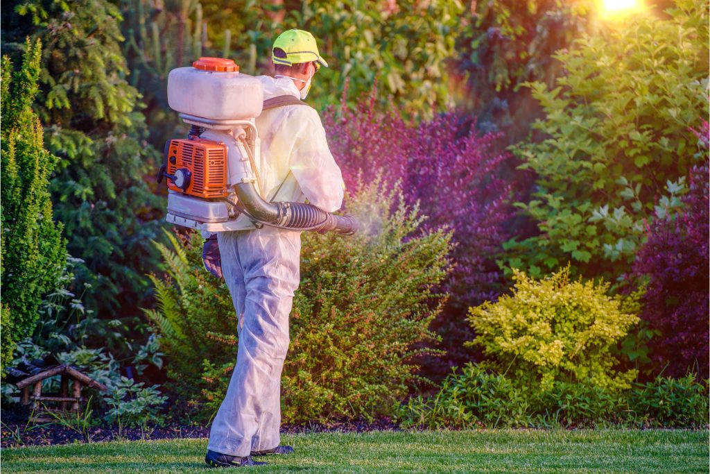 man performing pest control on yard