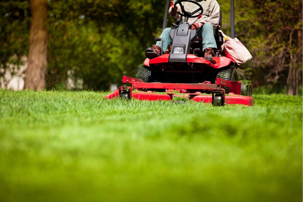 proper mowing techniques