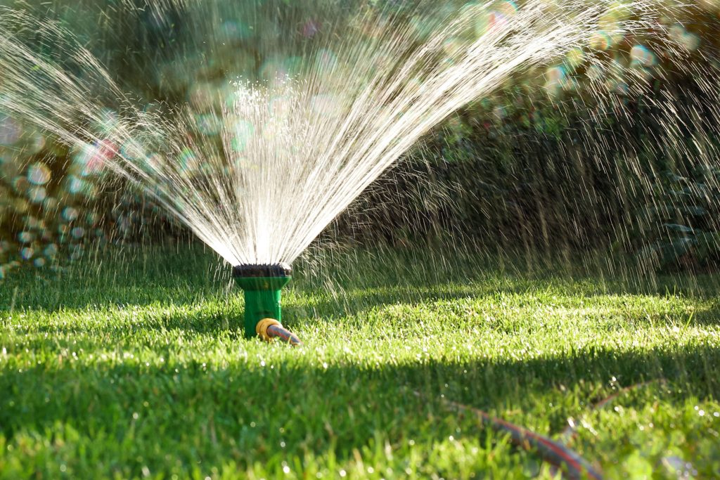 watering lawn