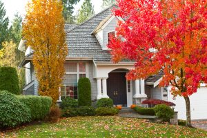 front of a house